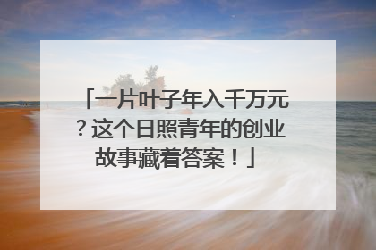 一片叶子年入千万元？这个日照青年的创业故事藏着答案！