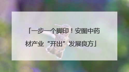 一步一个脚印！安图中药材产业“开出”发展良方