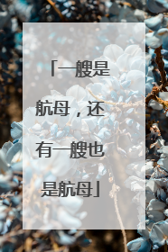 一艘是航母，还有一艘也是航母