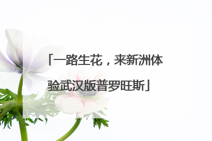 一路生花，来新洲体验武汉版普罗旺斯