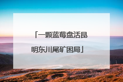 一颗蓝莓盘活昆明东川尾矿困局