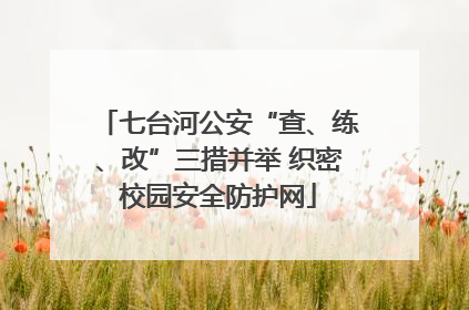 七台河公安“查、练、改”三措并举 织密校园安全防护网