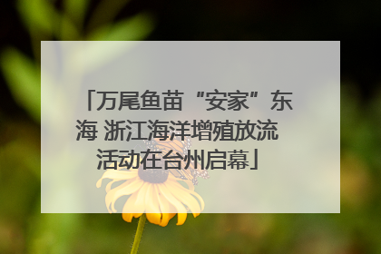 万尾鱼苗“安家”东海 浙江海洋增殖放流活动在台州启幕