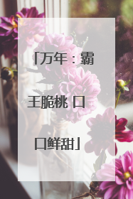万年：霸王脆桃 口口鲜甜