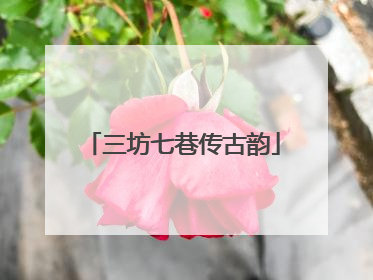 三坊七巷传古韵