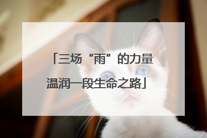 三场“雨”的力量温润一段生命之路