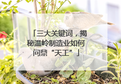 三大关键词，揭秘温岭制造业如何问鼎“天工”