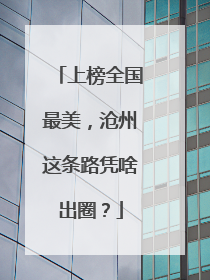 上榜全国最美，沧州这条路凭啥出圈？