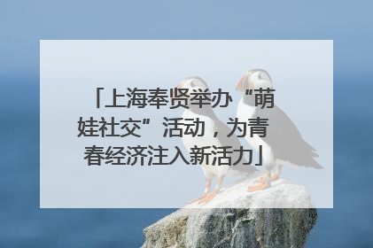 上海奉贤举办“萌娃社交”活动，为青春经济注入新活力