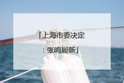 上海市委决定：张鸣履新