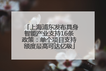 上海浦东发布具身智能产业支持16条政策：单个项目支持额度最高可达亿级