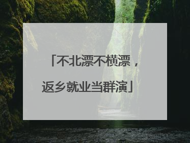 不北漂不横漂，返乡就业当群演