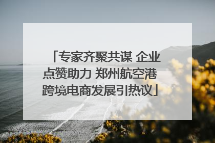 专家齐聚共谋 企业点赞助力 郑州航空港跨境电商发展引热议