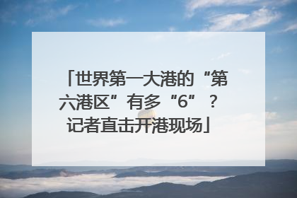 世界第一大港的“第六港区”有多“6”？记者直击开港现场