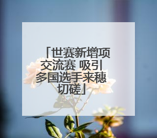 世赛新增项交流赛 吸引多国选手来穗切磋