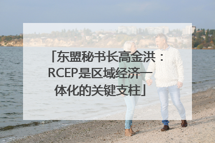 东盟秘书长高金洪：RCEP是区域经济一体化的关键支柱