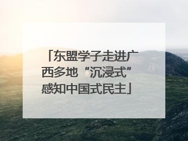 东盟学子走进广西多地“沉浸式”感知中国式民主