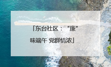 东台社区：“廉”味端午 党群情浓
