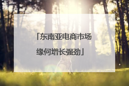 东南亚电商市场缘何增长强劲