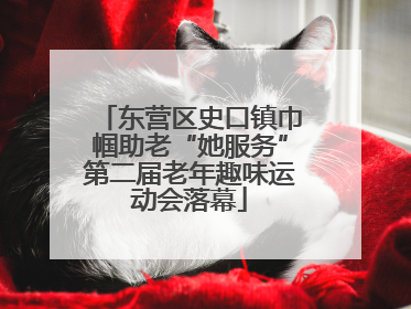 东营区史口镇巾帼助老“她服务”第二届老年趣味运动会落幕