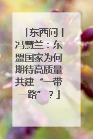 东西问丨冯慧兰：东盟国家为何期待高质量共建“一带一路”？