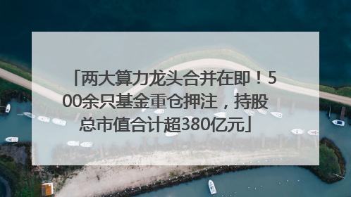 两大算力龙头合并在即！500余只基金重仓押注，持股总市值合计超380亿元