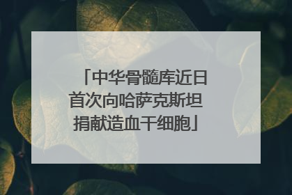 中华骨髓库近日首次向哈萨克斯坦捐献造血干细胞