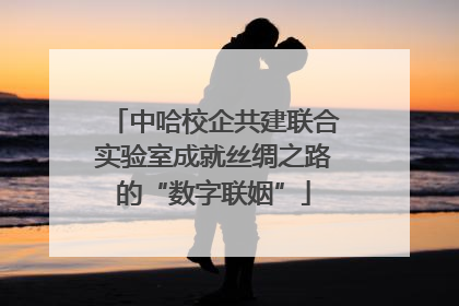 中哈校企共建联合实验室成就丝绸之路的“数字联姻”