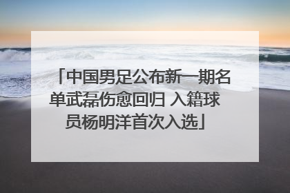 中国男足公布新一期名单武磊伤愈回归 入籍球员杨明洋首次入选