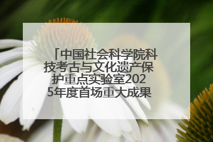 中国社会科学院科技考古与文化遗产保护重点实验室2025年度首场重大成果发布会在京举行