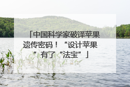 中国科学家破译苹果遗传密码！“设计苹果”有了“法宝”