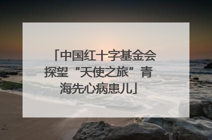中国红十字基金会探望“天使之旅”青海先心病患儿