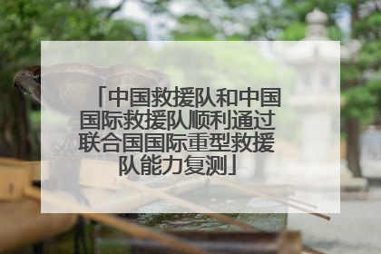 中国救援队和中国国际救援队顺利通过联合国国际重型救援队能力复测