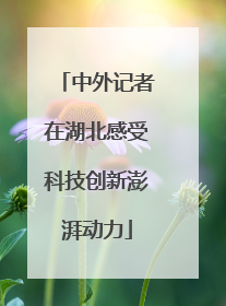 中外记者在湖北感受科技创新澎湃动力