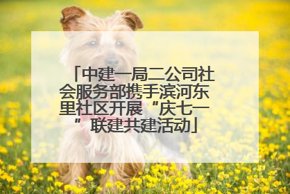 中建一局二公司社会服务部携手滨河东里社区开展“庆七一”联建共建活动