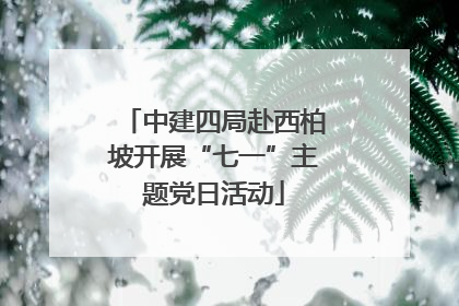 中建四局赴西柏坡开展“七一”主题党日活动