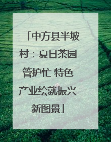 中方县半坡村：夏日茶园管护忙 特色产业绘就振兴新图景