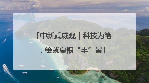 中新武威观｜科技为笔，绘就夏粮“丰”景