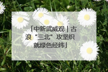 中新武威观｜古浪“三北”攻坚织就绿色经纬