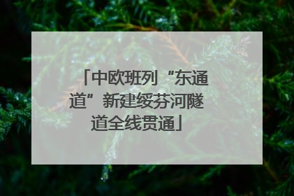 中欧班列“东通道”新建绥芬河隧道全线贯通