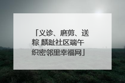 义诊、磨剪、送粽 麟趾社区端午织密邻里幸福网