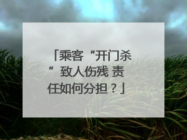 乘客“开门杀”致人伤残 责任如何分担？
