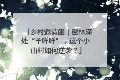 乡村邀请函｜密林深处“羊咩咩”，这个小山村如何逆袭？