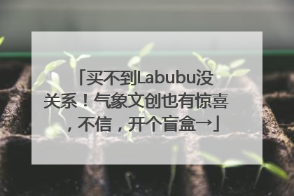 买不到Labubu没关系！气象文创也有惊喜，不信，开个盲盒→