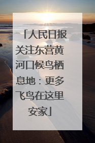 人民日报关注东营黄河口候鸟栖息地：更多飞鸟在这里安家