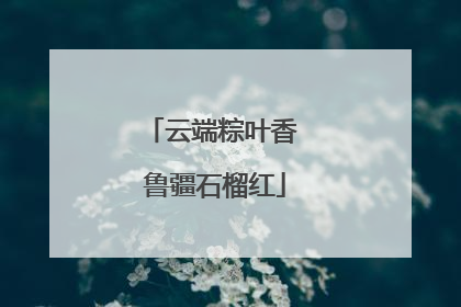 云端粽叶香 鲁疆石榴红
