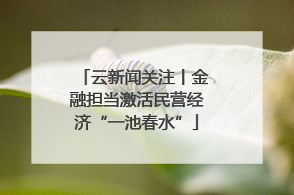 云新闻关注丨金融担当激活民营经济“一池春水”