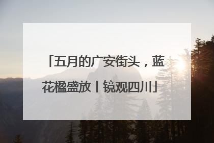 五月的广安街头，蓝花楹盛放丨镜观四川