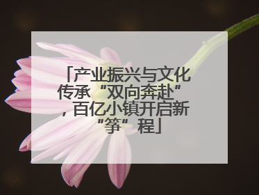 产业振兴与文化传承“双向奔赴”，百亿小镇开启新“筝”程