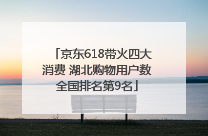 京东618带火四大消费 湖北购物用户数全国排名第9名